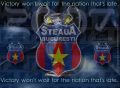 Steaua 